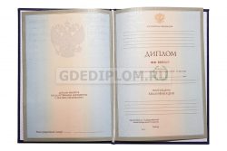 диплом психолога вуз 2004-2009